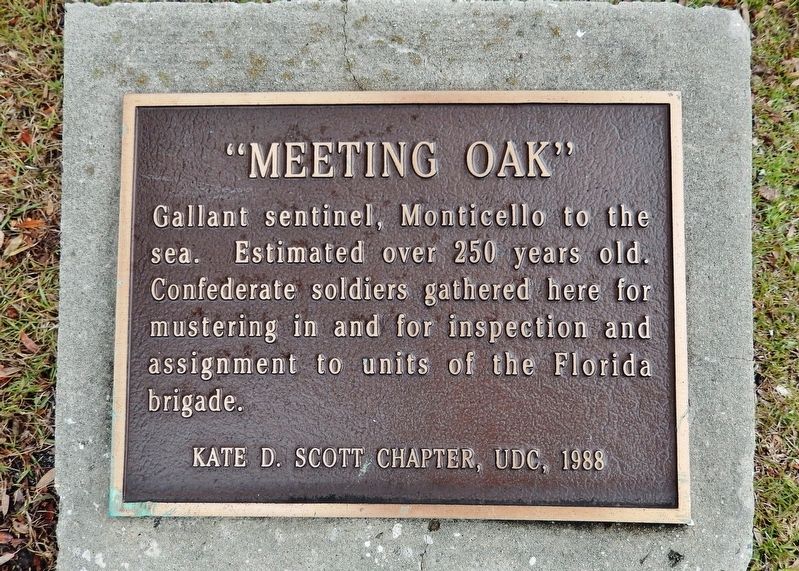 Meeting Oak Marker image. Click for full size.