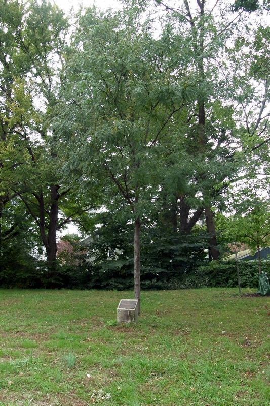 First neabry local memorial. Click for full size. First neabry local memorial image. Click for full size.