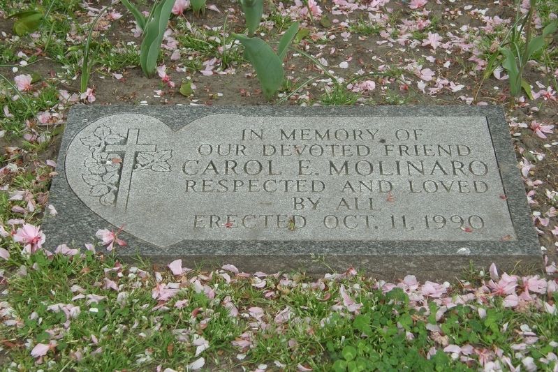 Carol Molinaro memorial. Click for full size. Carol Molinaro memorial image. Click for full size.
