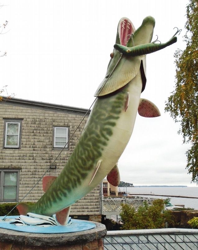 The Muskie image. Click for full size.