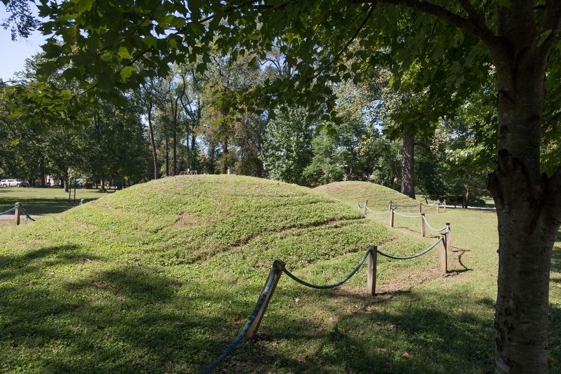 Indian Mounds image. Click for full size.