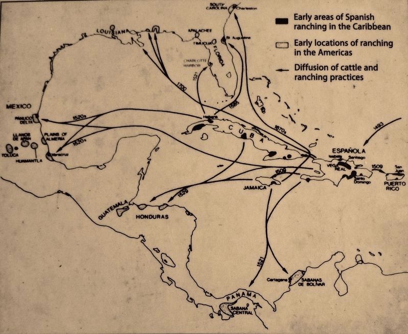 Marker detail: Colonial Cattle Ranching in the West Indies and Diffusion to the Americas, 1509-1700 image. Click for full size.