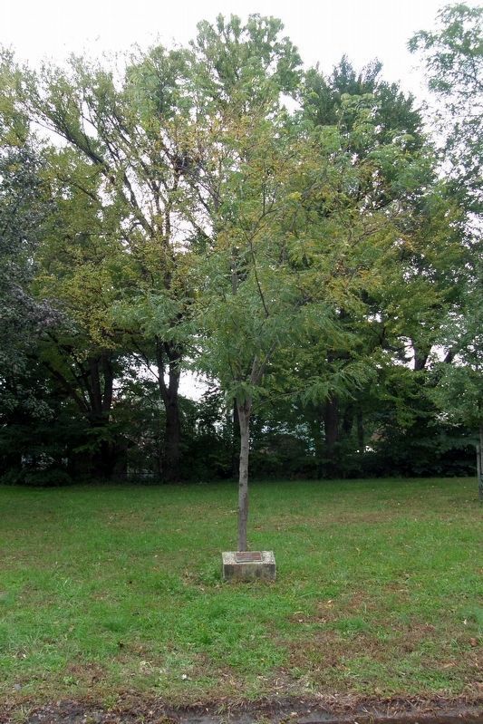 Third nearby local memorial. Click for full size. Third nearby local memorial image. Click for full size.