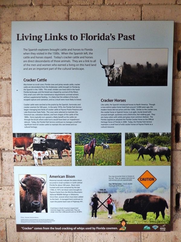 Living Links to Florida's Past Marker image. Click for full size.