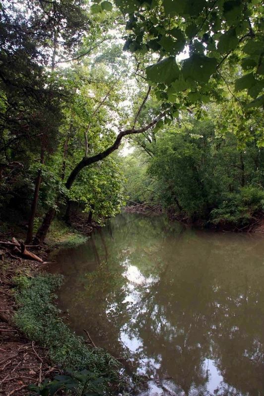 Chickamauga Creek (June, 2011) image. Click for full size.