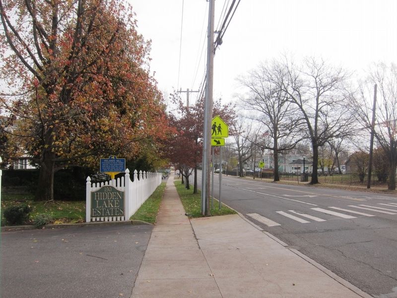 Ireland's Mill Marker - wide view, looking east on Merrick Road. Click for full size. Ireland's Mill Marker - wide view, looking east on Merrick Road image. Click for full size.