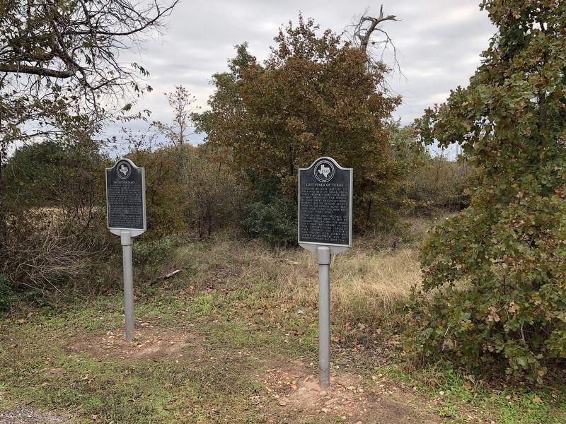 Lost Pines of Texas Marker. Click for full size. Lost Pines of Texas Marker image. Click for full size.
