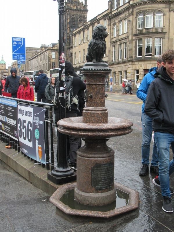 Greyfriars Bobby Statue image. Click for full size.