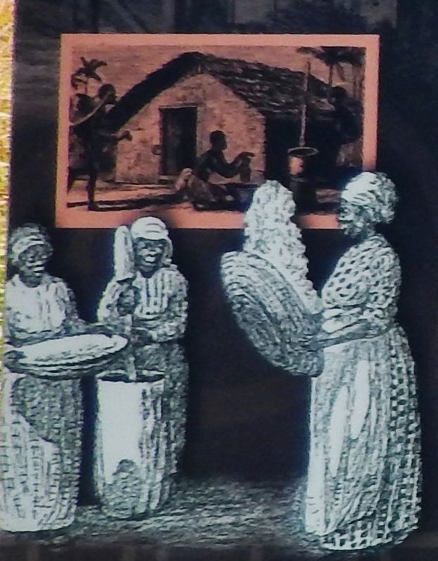 Marker detail: Rice became an important crop in coastal lowlands of English Carolina image. Click for full size.