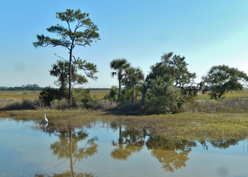 Fort Mose Site (<i>view from marker</i>). Click for full size. Fort Mose Site (<i>view from marker</i>) image. Click for full size.