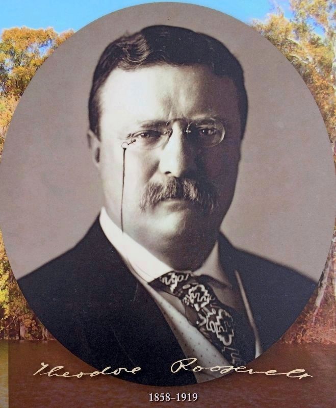 Theodore Roosevelt<br>1858 - 1919 image. Click for full size.