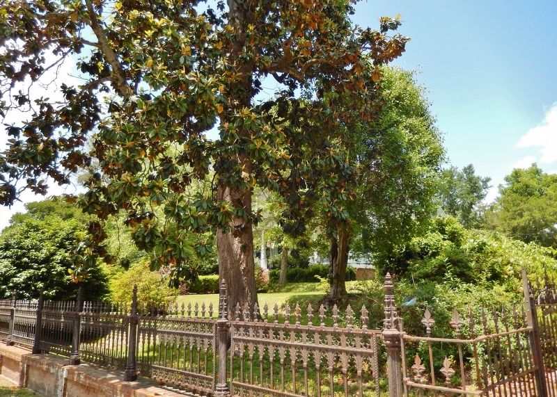 Myrtle Terrace (<i>view from marker; house is obscured by trees; ornate wrought iron fence</i>) image. Click for full size.