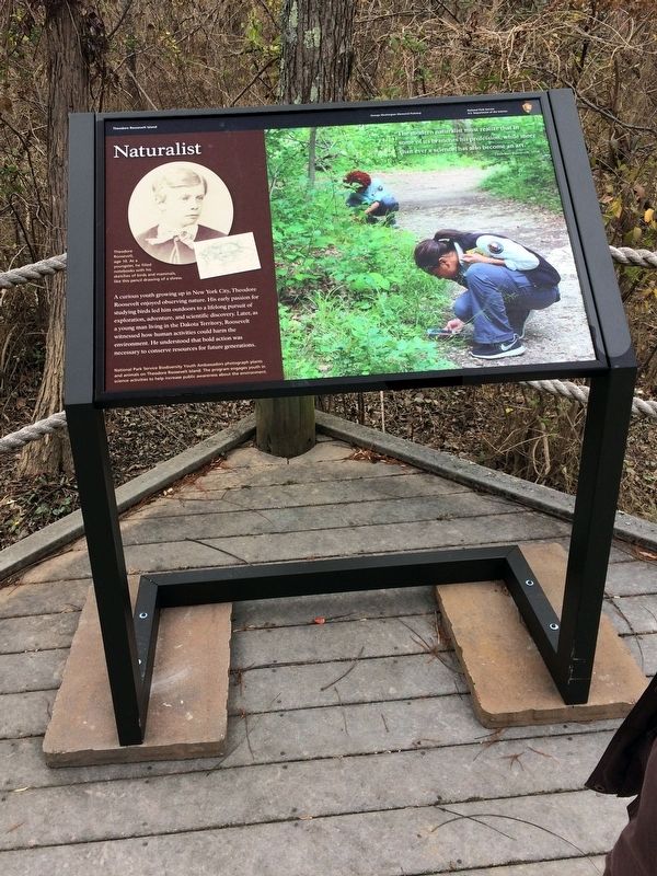 Naturalist Marker. Click for full size. Naturalist Marker image. Click for full size.