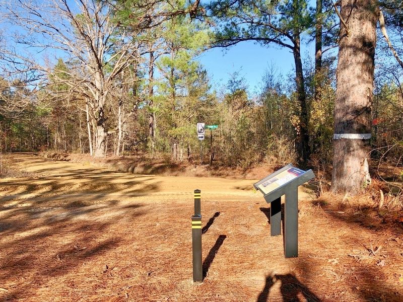 View of marker looking at Noah Ark Circle.. Click for full size. View of marker looking at Noah Ark Circle. image. Click for full size.