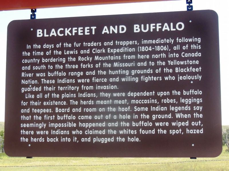Blackfeet and Buffalo Marker image. Click for full size.