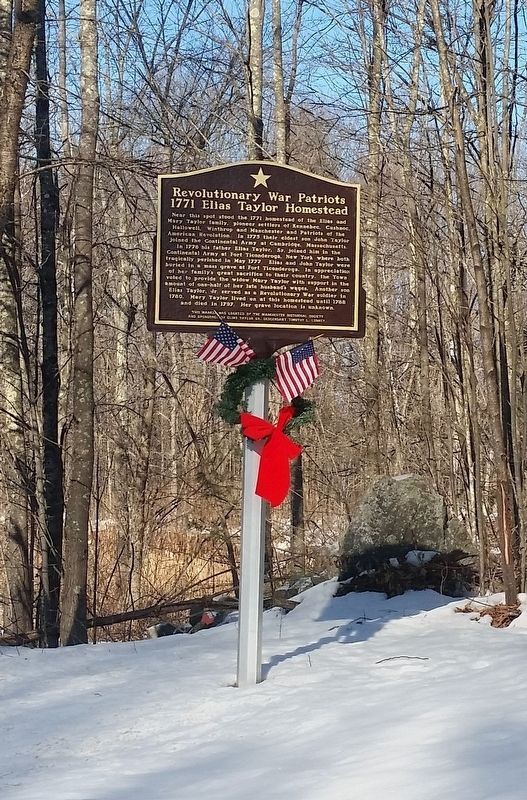 Veterans Day 2018 image. Click for full size.