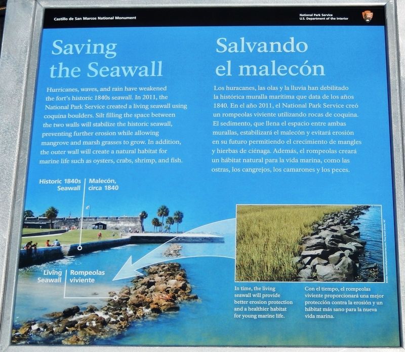 Saving the Seawall Marker image. Click for full size.