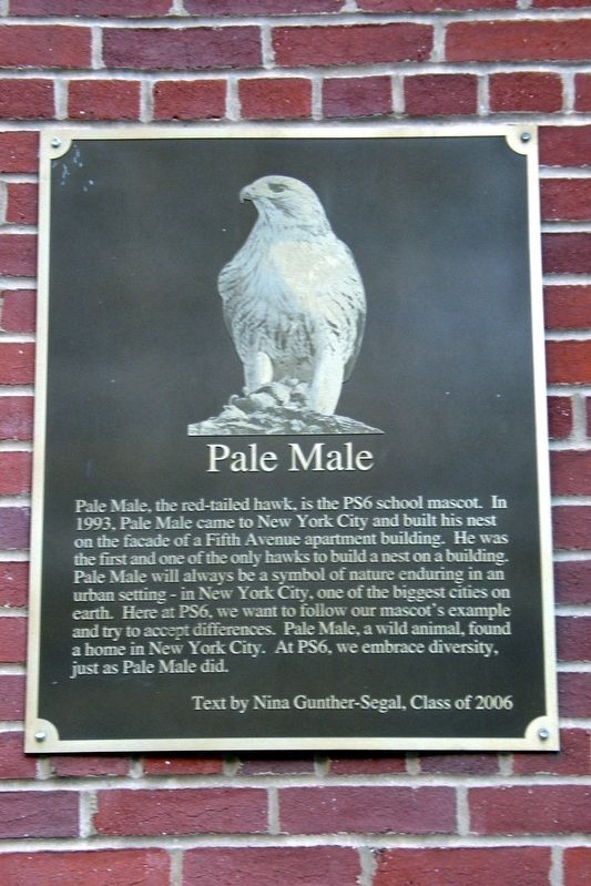Pale Male Marker. Click for full size. Pale Male Marker image. Click for full size.