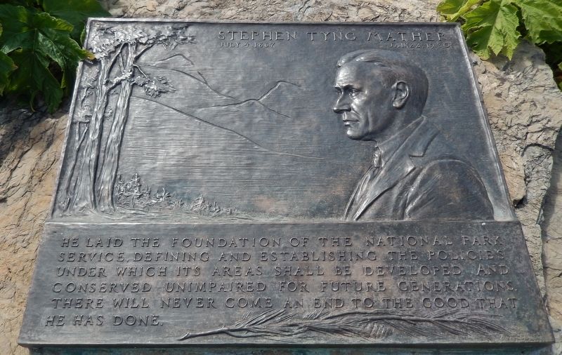 Stephen Tyng Mather Marker. Click for full size. Stephen Tyng Mather Marker image. Click for full size.