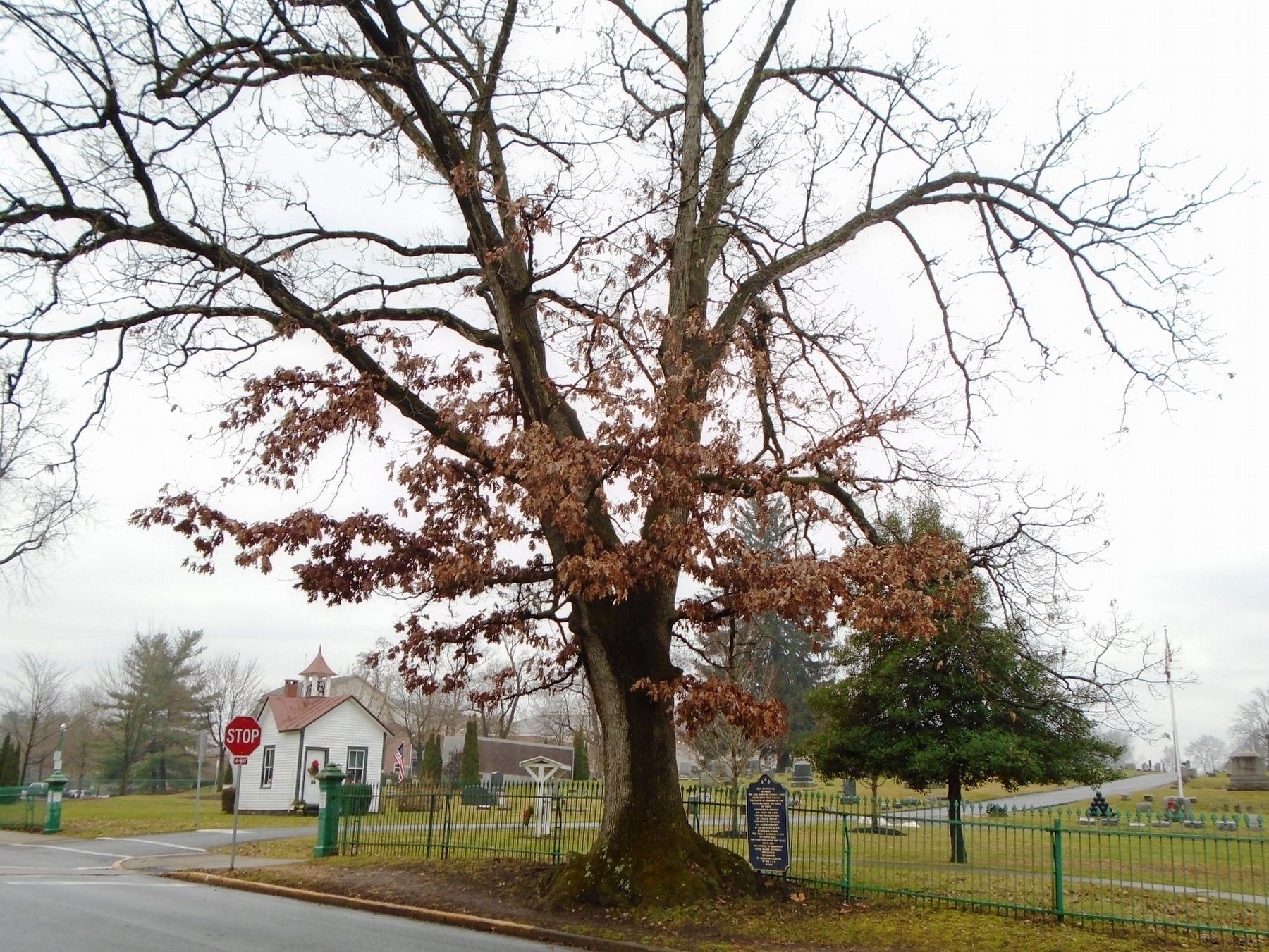 Lewisburg Witness Tree and Marker image. Click for full size.