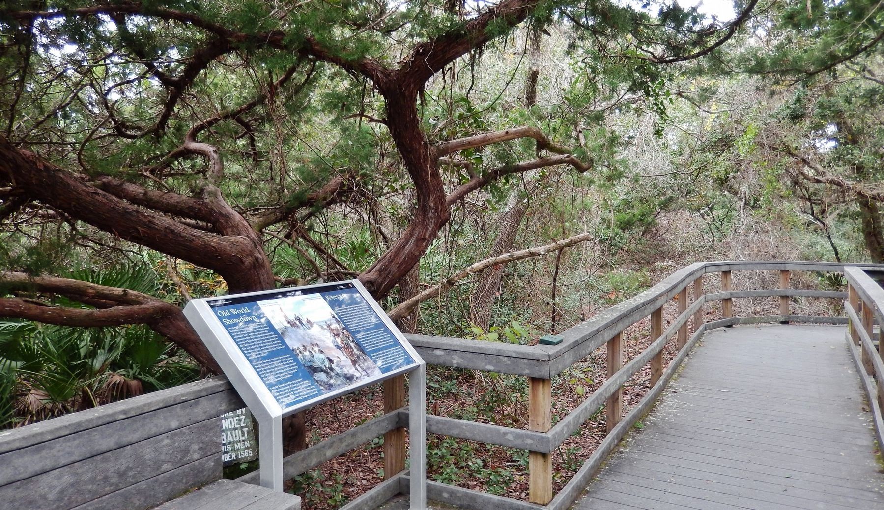 Old World Showdown Marker (<i>wide view looking north along the Coastal Hammock trail boardwalk</i>) image. Click for full size.