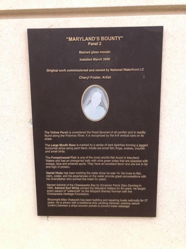 "Maryland's Bounty" Panel 2. Click for full size. "Maryland's Bounty" Panel 2 image. Click for full size.