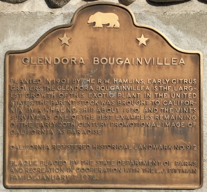 Glendora Bougainvillea Marker image. Click for full size.