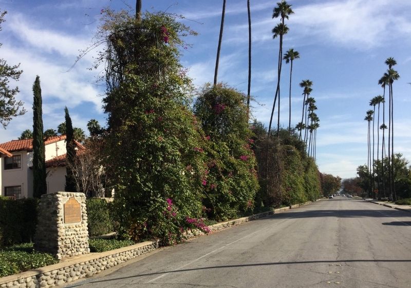 Glendora Bougainvillea and Marker image. Click for full size.
