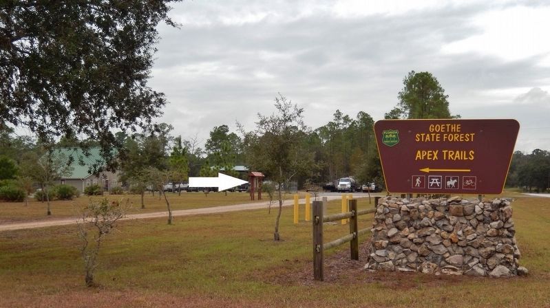 Goethe State Forest Apex Trail Sign (<i>turn here to access marker</i>) image. Click for full size.