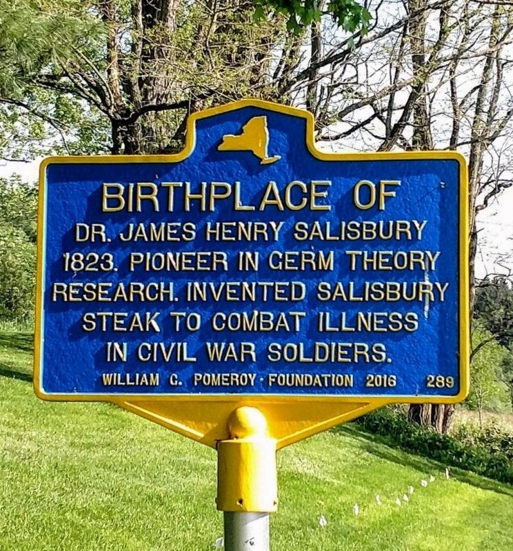 Birthplace of Marker image. Click for full size.