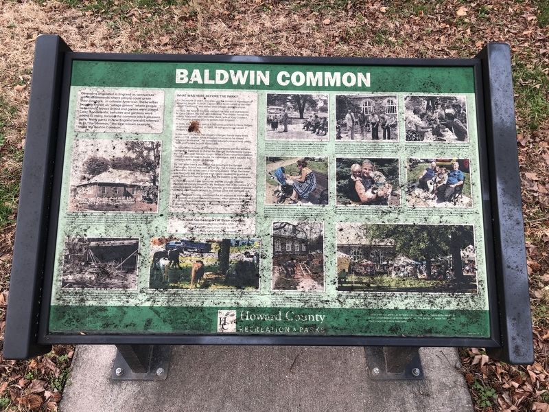 Baldwin Common Marker image. Click for full size.