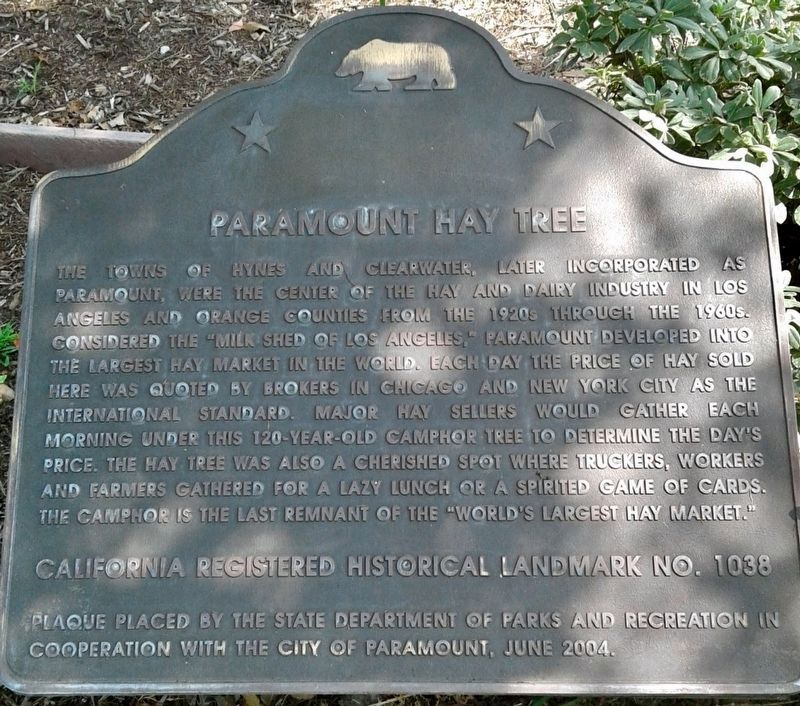 Paramount Hay Tree Marker image. Click for full size.