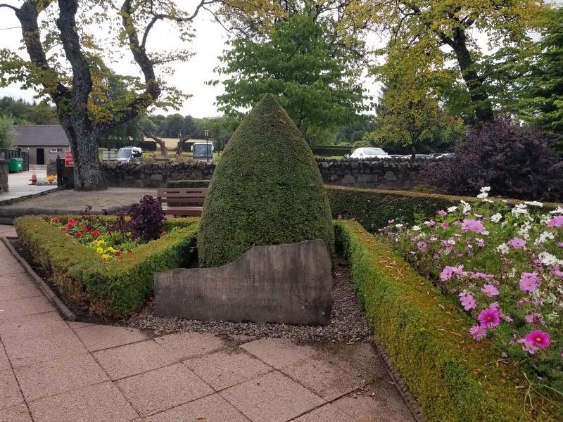 Yew Tree Marker. Click for full size. Yew Tree Marker image. Click for full size.