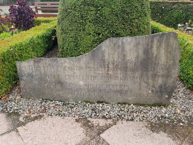 Yew Tree Marker. Click for full size. Yew Tree Marker image. Click for full size.