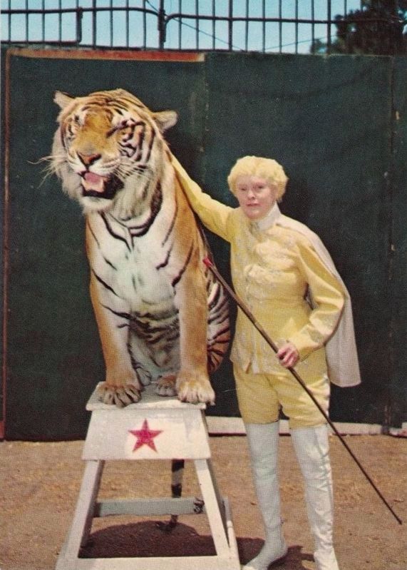 Mabel Stark, Tiger Trainer image. Click for full size.