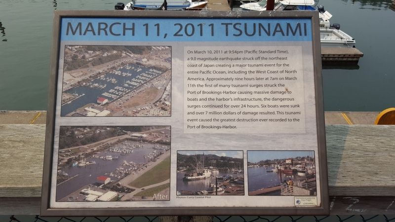 March 11, 2011 Tsunami Marker image. Click for full size.