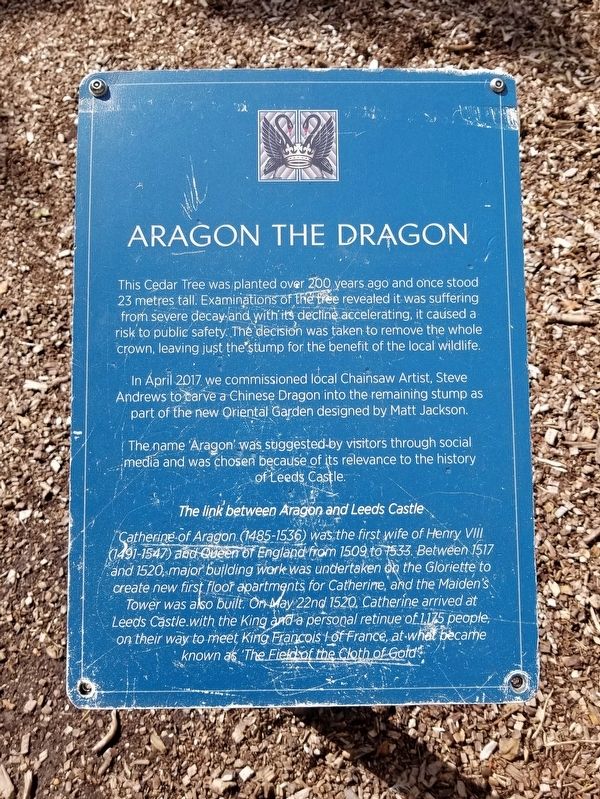 Aragon the Dragon Marker image. Click for full size.