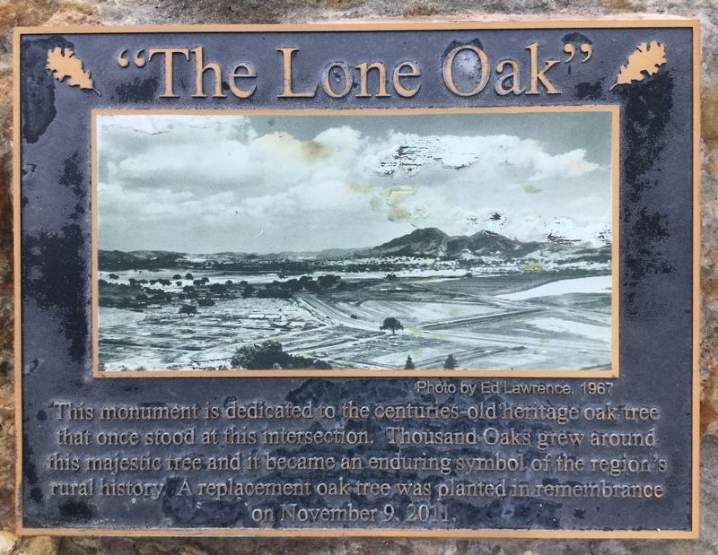 Lone Oak Marker image. Click for full size.