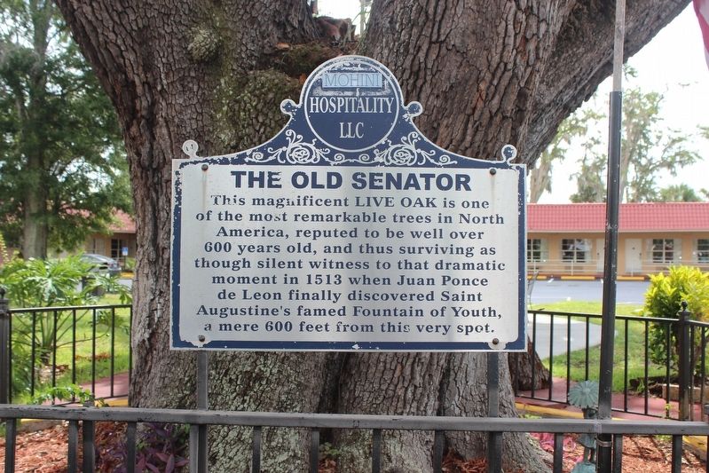 The Old Senator Marker image. Click for full size.