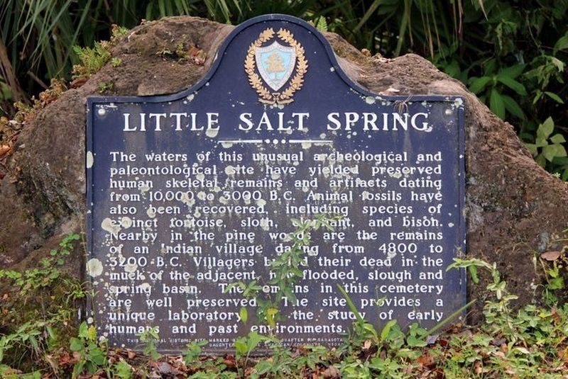 Little Salt Spring Marker image. Click for full size.
