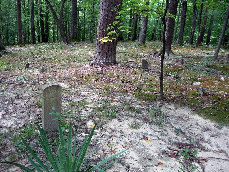 Slave & African American Cemetery, which are at the terminus of the Quarter Place Trail image. Click for full size.