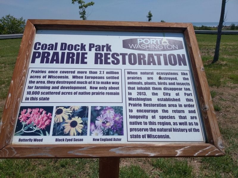 Coal Dock Park Prairie Restoration Marker. Click for full size. Coal Dock Park Prairie Restoration Marker image. Click for full size.