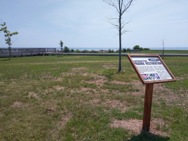 Coal Dock Park Prairie Restoration Marker. Click for full size. Coal Dock Park Prairie Restoration Marker image. Click for full size.