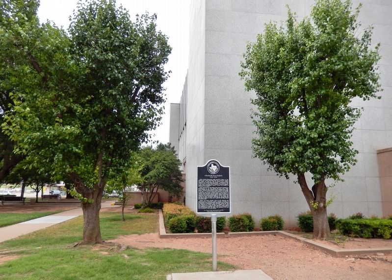Charlye Ola Farris Marker (<i>southeast corner of Wichita County Courthouse behind marker</i>) image. Click for full size.