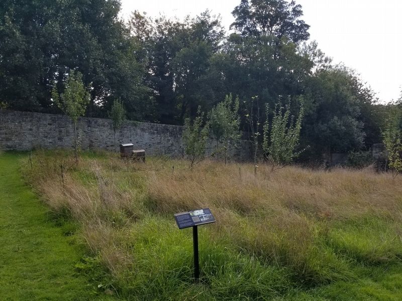 Beehives in the Walled Garden Marker. Click for full size. Beehives in the Walled Garden Marker image. Click for full size.