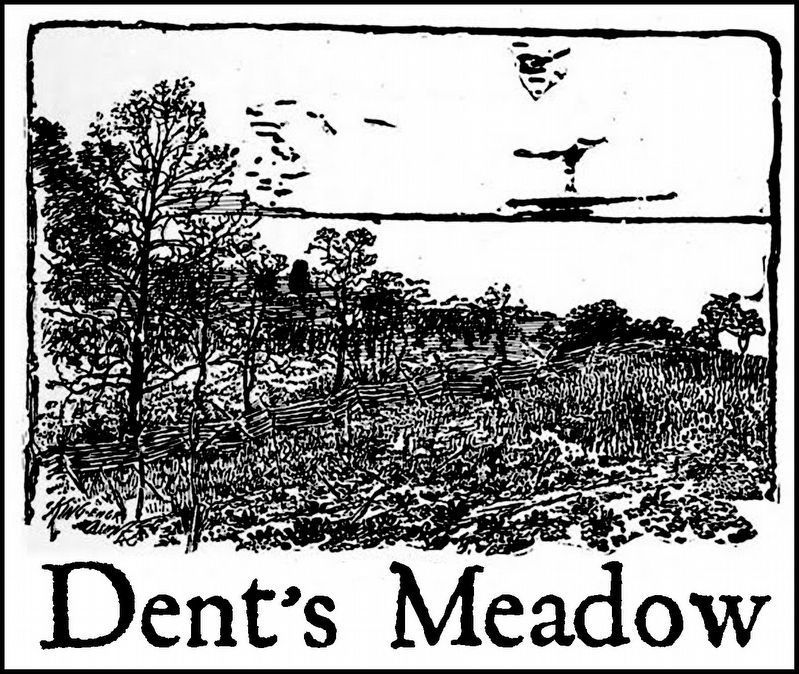 Dents Meadow. Click for full size. Dents Meadow image. Click for full size.