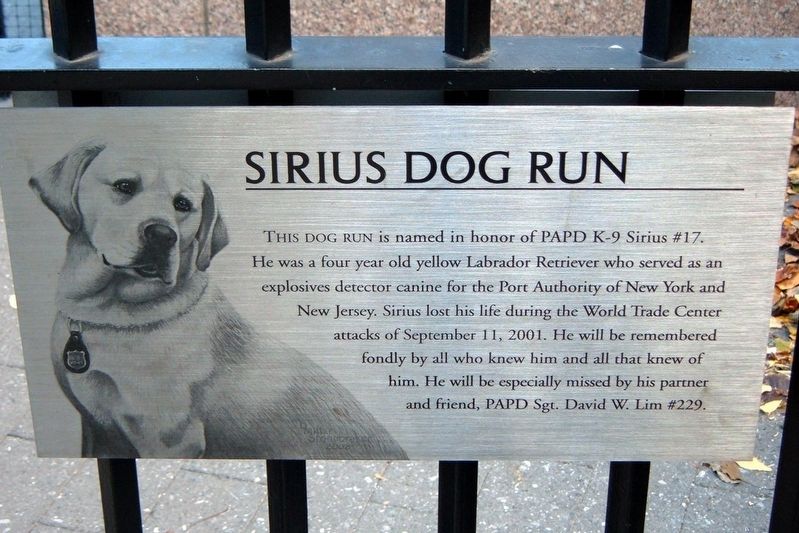 Sirius Dog Run Marker image. Click for full size.