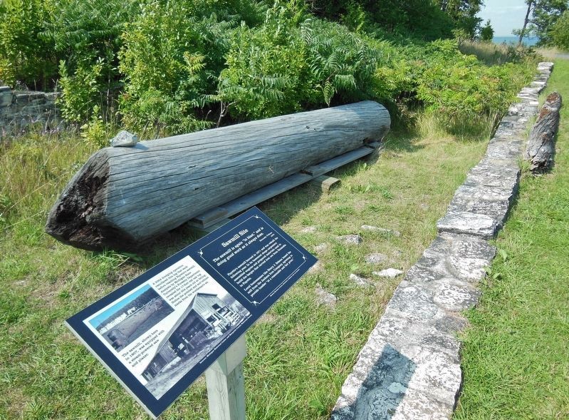 Sawmill Site Marker (<i>wide view; red oak log & sawmill foundation ruins in background</i>) image. Click for full size.