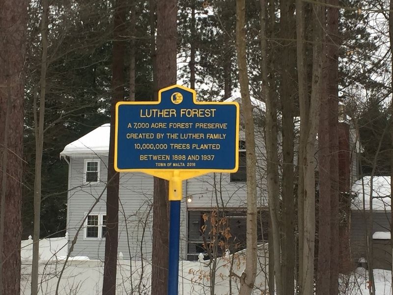 Luther Forest Marker. Click for full size. Luther Forest Marker image. Click for full size.
