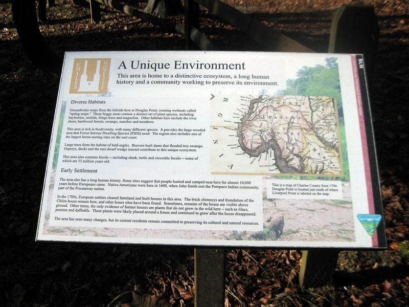 Unique Environment Marker image. Click for full size.